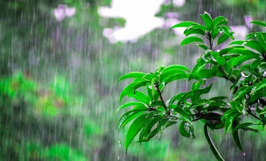 हिमाचल में 28 मई से आंधी-ओलावृष्टि का अलर्ट, शिमला-मंडी-कांगड़ा-कुल्लू-चंबा-सिरमौर-सोलन में बरसेंगे बादल