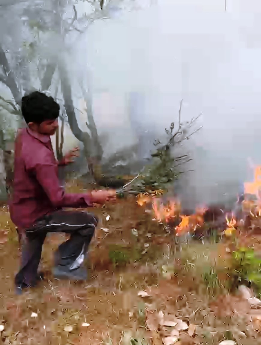 लोहा भलावग के जंगल में लगी भीषण आग, करीब 25 हेक्टेयर वन संपदा के नुकसान होने का अनुमान