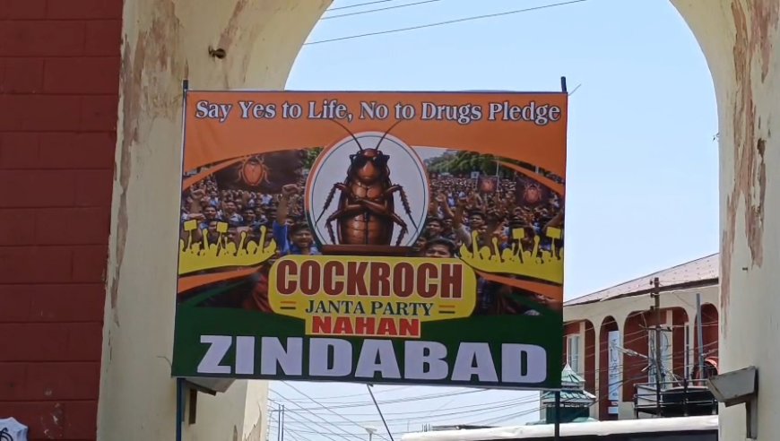 नाहन में कॉकरोच जनता पार्टी की एंट्री,मीठे पानी की छबील लगाकर हर किसी का खींचा ध्यान
