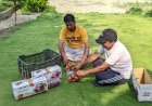 महाराष्ट्र की मंडियों में पहुंचा बल्ह व सुन्दर नगर का प्लम: एचपी शिवा परियोजना ने दिलाई नई पहचान