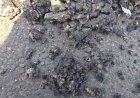 कफोटा -कोटि सड़क निर्माण में भ्रष्टाचार के आरोप, समाजसेवी नाथूराम चौहान ने उठाए सवाल