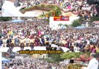 मुख्यमंत्री ने चिनार वृक्षारोपण अभियान के प्रथम चरण का शुभारंभ किया