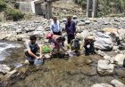 उहल नदी में महाशीर मछली के 5 हजार बड़े आकार के बीज का संचयन
