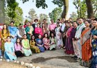 राज्यपाल ने डॉ. वाई.एस. परमार औद्यानिकी एवं वानिकी विश्वविद्यालय की 17वीं सीनेट बैठक की अध्यक्षता की