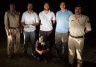 संगड़ाह में 6.95 ग्राम चिट्टा के साथ एक गिरफ्तार, 5 दिन के पुलिस रिमांड पर आरोपी