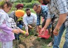 एक पेड़ माँ के नाम’ अभियान से पर्यावरण संरक्षण और मातृ सम्मान का संदेश : भाजपा अल्पसंख्यक मोर्चा"