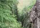 गहरी खाई में गिरी पिकअप, 24 वर्षीय युवक की मौत, एक गंभीर