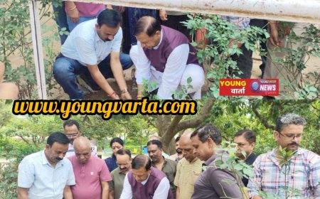 मोदी सरकार के 12 वर्ष पूरे होने पर भाजपा चलाएगी जनजागरण अभियान, जुलाई में लगाए जाएंगे दो लाख पौधे : डॉ. राजीव बिंदल
