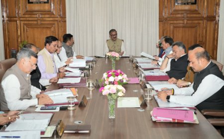 विभिन्न विभागों में भरे जाएंगे सैकड़ों पद, सरकारी भूमि पर कब्जों को नियमित करने की नीति को मंजूरी, पढ़े मंत्रिमंडल के फैसले