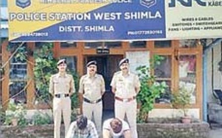 दूध-कुरकुरे के पैकेट में चिट्टा सप्लाई, 1.25 करोड़ के ड्रग्स नेटवर्क का खुलासा, मेन सप्लायर फरीदाबाद से गिरफ्तार