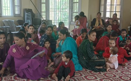 समर कैंप "कमाल की तैयारी" के अंतर्गत आंगनवाड़ी केंद्र दिलमन में  समर कैंप का किया आयोजन।
