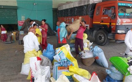 प्राकृतिक खेती को मिला 'गारंटी का बाजार', हिमाचल में बढ़ रहा किसानों का भरोसा