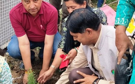 एक पेड़ मां के नाम कार्यक्रम के तहत किया धगोगी में पौधरोपण