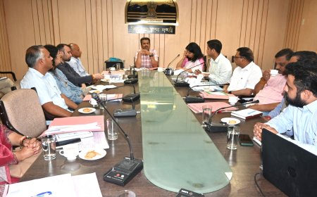 जिला निर्यात कार्ययोजना को अंतिम रूप, मंडी बनेगा निर्यात हब, फोकस सेक्टर तय, पर्यटन और हस्तशिल्प को मिलेगा बढ़ावा
