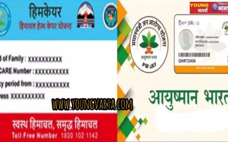 प्रदेश के 21 आयुर्वेदिक अस्पतालों में नहीं मिलेगा हिमकेयर-आयुष्मान का लाभ , केंद्र सरकार ने पैनल से हटाए 21 हॉस्पिटल