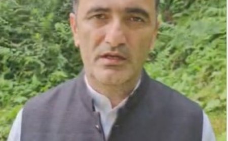 कांग्रेस सरकार की बागवान विरोधी नीतियों ने हिमाचल की अर्थव्यवस्था को संकट में डाल दिया : चेतन सिंह बरागटा