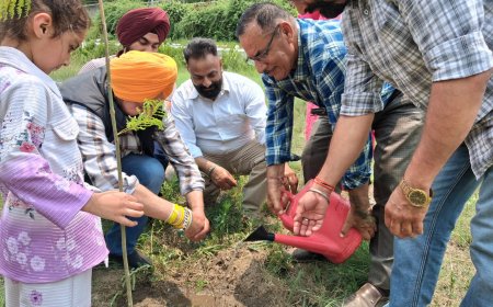 एक पेड़ माँ के नाम’ अभियान से पर्यावरण संरक्षण और मातृ सम्मान का संदेश : भाजपा अल्पसंख्यक मोर्चा"