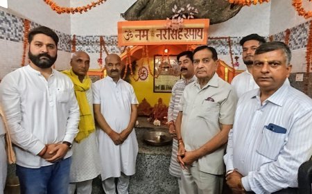 पिपलू मेला संपन्न, हजारों श्रद्धालुओं ने लिया आशीर्वाद
