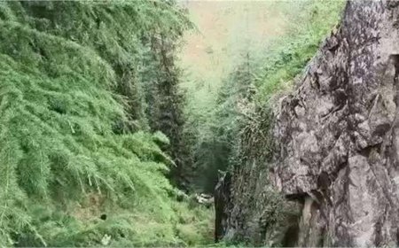 गहरी खाई में गिरी पिकअप, 24 वर्षीय युवक की मौत, एक गंभीर
