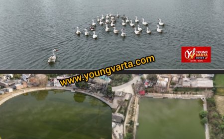 हिमाचल में जल संरक्षण का नया मॉडल बन रहे हरोली के तालाब , हर पोंड्स के लिए अलग वैज्ञानिक योजना 