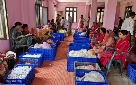 मंडी जिला के 105 रेशम उत्पादकों को 01 करोड़ 63 लाख रुपए से अधिक आवंटित