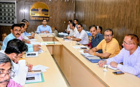 उपायुक्त ने आकांक्षी जिला कार्यक्रम के तहत प्रगति की समीक्षा की