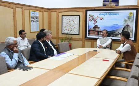 मुख्यमंत्री ने नेरी में स्थापित किए जा रहे देश के पहले बायोचार संयंत्र की प्रगति की समीक्षा की