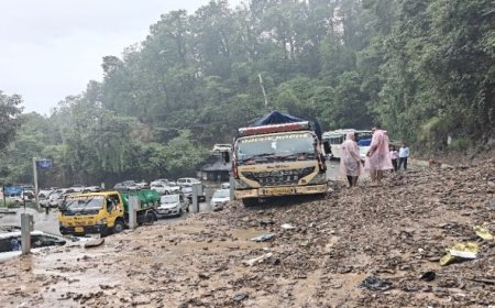दक्षिण-पश्चिम मानसून ने हिमाचल में दी दस्तक, एक सप्ताह बरसेंगे बादल, कई जिलों के लिए अलर्ट