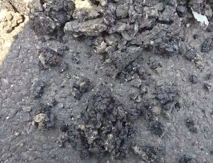 कफोटा -कोटि सड़क निर्माण में भ्रष्टाचार के आरोप, समाजसेवी नाथूराम चौहान ने उठाए सवाल