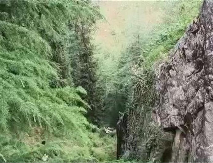 गहरी खाई में गिरी पिकअप, 24 वर्षीय युवक की मौत, एक गंभीर