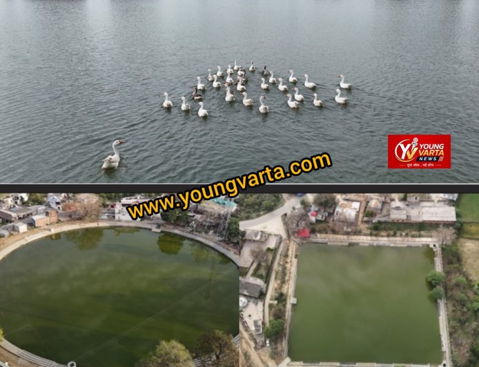 हिमाचल में जल संरक्षण का नया मॉडल बन रहे हरोली के तालाब , हर पोंड्स के लिए अलग वैज्ञानिक योजना 