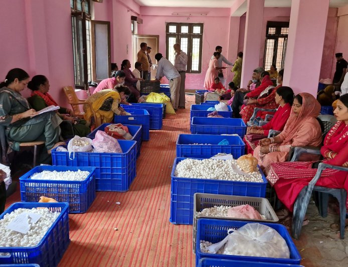 मंडी जिला के 105 रेशम उत्पादकों को 01 करोड़ 63 लाख रुपए से अधिक आवंटित