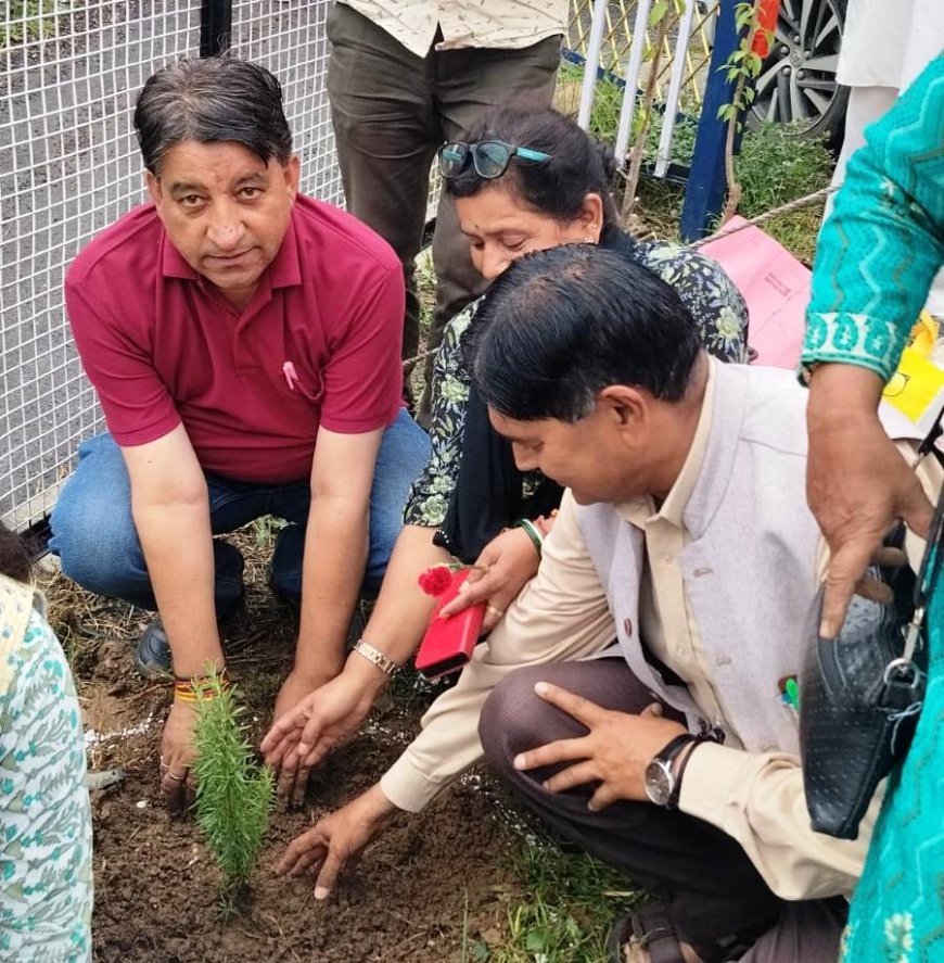 एक पेड़ मां के नाम कार्यक्रम के तहत किया धगोगी में पौधरोपण
