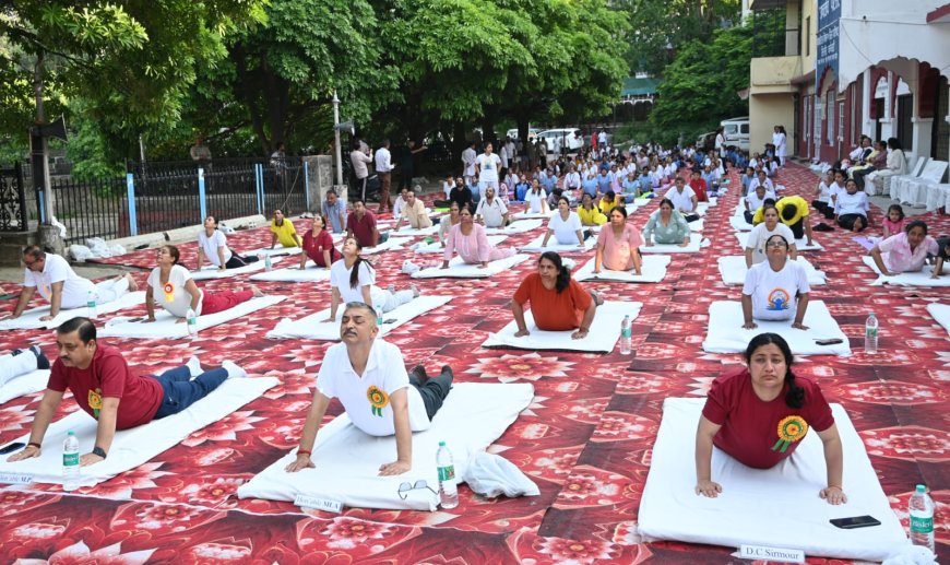 नाहन में अंतर्राष्ट्रीय योग दिवस पर सांसद, विधायक और अधिकारियों ने किया सामूहिक योग