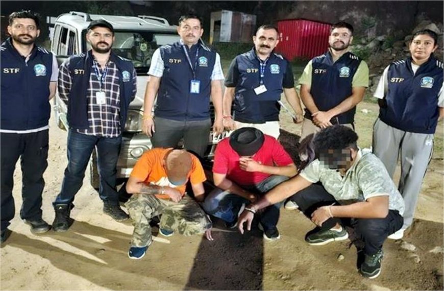 STF ने फोरलेन पर स्कॉर्पियो गाड़ी से पकड़ा 101 ग्राम चिट्टा, पंजाब के 3 तस्कर गिरफ्तार