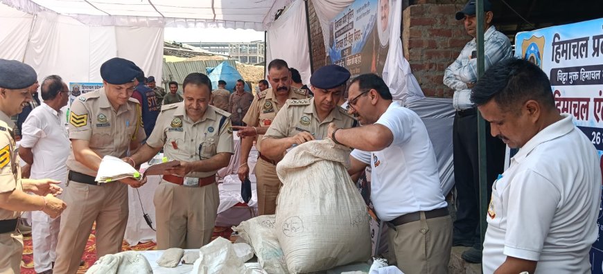 अंतरराष्ट्रीय नशा निषेध दिवस पर सिरमौर पुलिस की बड़ी कार्रवाई, 54.26 लाख रुपये के मादक पदार्थ किए नष्ट