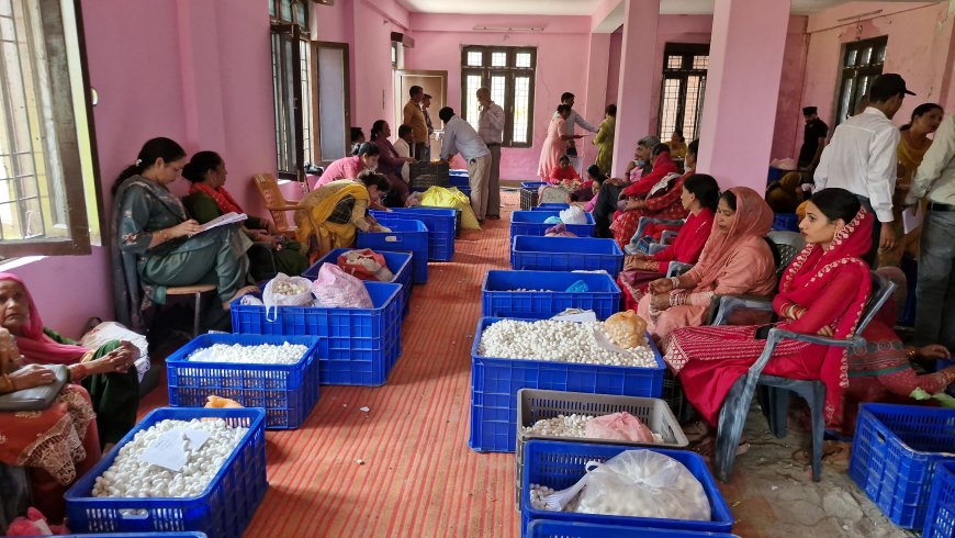 मंडी जिला के 105 रेशम उत्पादकों को 01 करोड़ 63 लाख रुपए से अधिक आवंटित
