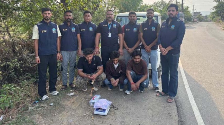 जसूर में 223 ग्राम चिट्टे के साथ तीन तस्कर गिरफ्तार, STF को मिली थी गुप्त सूचना