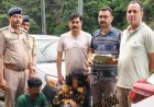 गिरीपुल में पुलिस की बड़ी कार्रवाई: कार से 38.95 ग्राम चिट्टा बरामद, दो आरोपी गिरफ्तार