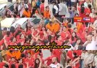 विद्यापीठ शिमला में नीट-2026 के सफल विद्यार्थियों का हुआ सम्मान, केक काटकर मनाया जश्न