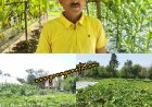 प्राकृतिक खेती से बदली सुनील कुमार की तकदीर , प्रगतिशील किसान दो बीघा भूमि से कमा रहे सालाना डेढ़ से दो लाख रुपये