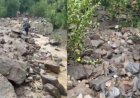 शिलिंग नाले में बादल फटा, 100 से अधिक सेब के पेड़ बहे