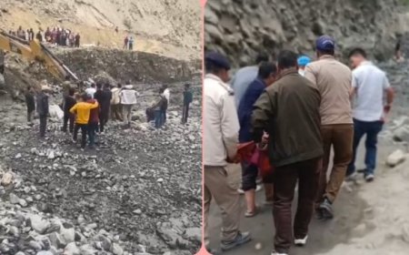 जाहलमा नाले में बढ़े जलस्तर के बीच बीआरओ की एलएनटी बनी जीवनरक्षक, मरीज को सुरक्षित कराया पार