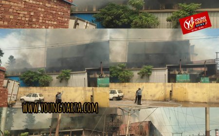 कालाअंब के उद्योग में भीषण आगजनी, गता फैक्ट्री में आगजनी की घटना से करोड़ों का नुकसान