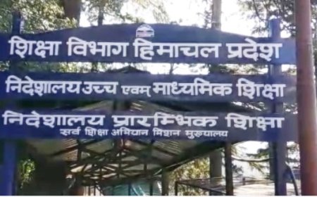 चुनाव हारे मिड-डे मील कर्मियों को वापस मिलेगी नौकरी, शिक्षा निदेशालय ने जारी किए आदेश