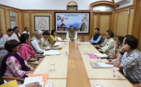 निदान सेवाओं में शून्य प्रतीक्षा समय सुनिश्चित करें: मुख्यमंत्री