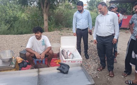 प्रतिबंधित सीजन में अवैध मछली बिक्री पर मत्स्य विभाग की सख्त कार्रवाई, पांच मामलों में 8 हजार रुपये जुर्माना वसूला
