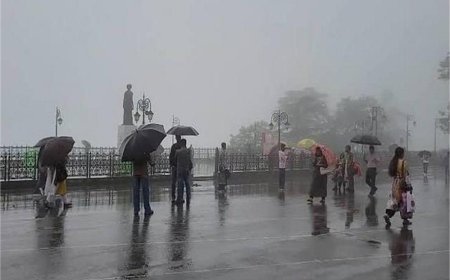 हिमाचल में अगले दो दिन भारी बारिश का अलर्ट, कई जिलों के लिए ऑरेंज और येलो चेतावनी जारी