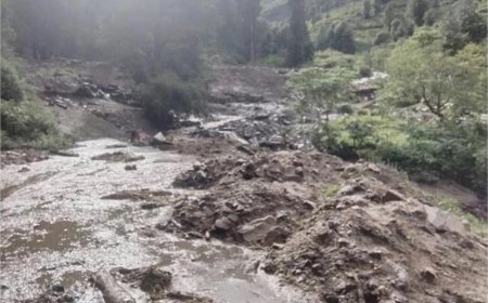 बादल फटने से बांद्रली खड्ड में भारी तबाही, खेल मैदान व श्मशानघाट पूरी तरह क्षतिग्रस्त