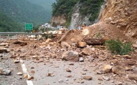 मानसून सीजन में 24 घंटे में बहाल होंगी सडक़ें, पीडब्ल्यूडी मंत्री ने सेब सीजन के लिए अधिकारियों को दिए निर्देश